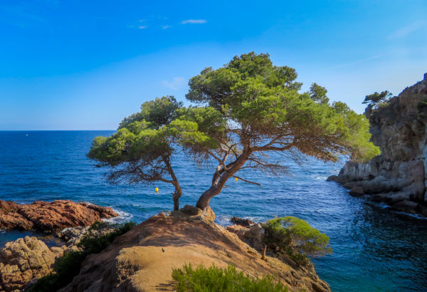 Virée à la Fosca, près de Palamos, en espagne. - juin 2018.